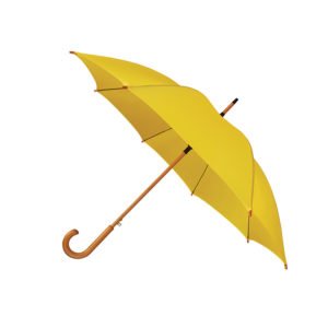 Foto Guarda-Chuva MTB Z-307 Imagem (1)